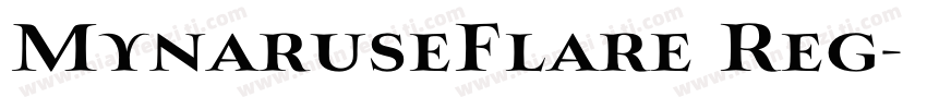 MynaruseFlare Reg字体转换
